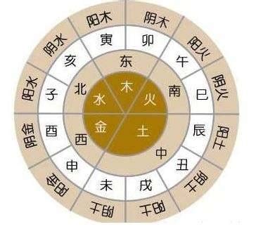 五行合|五行派八字基礎入門（五）天干五合與地支六合｜方格子 vocu